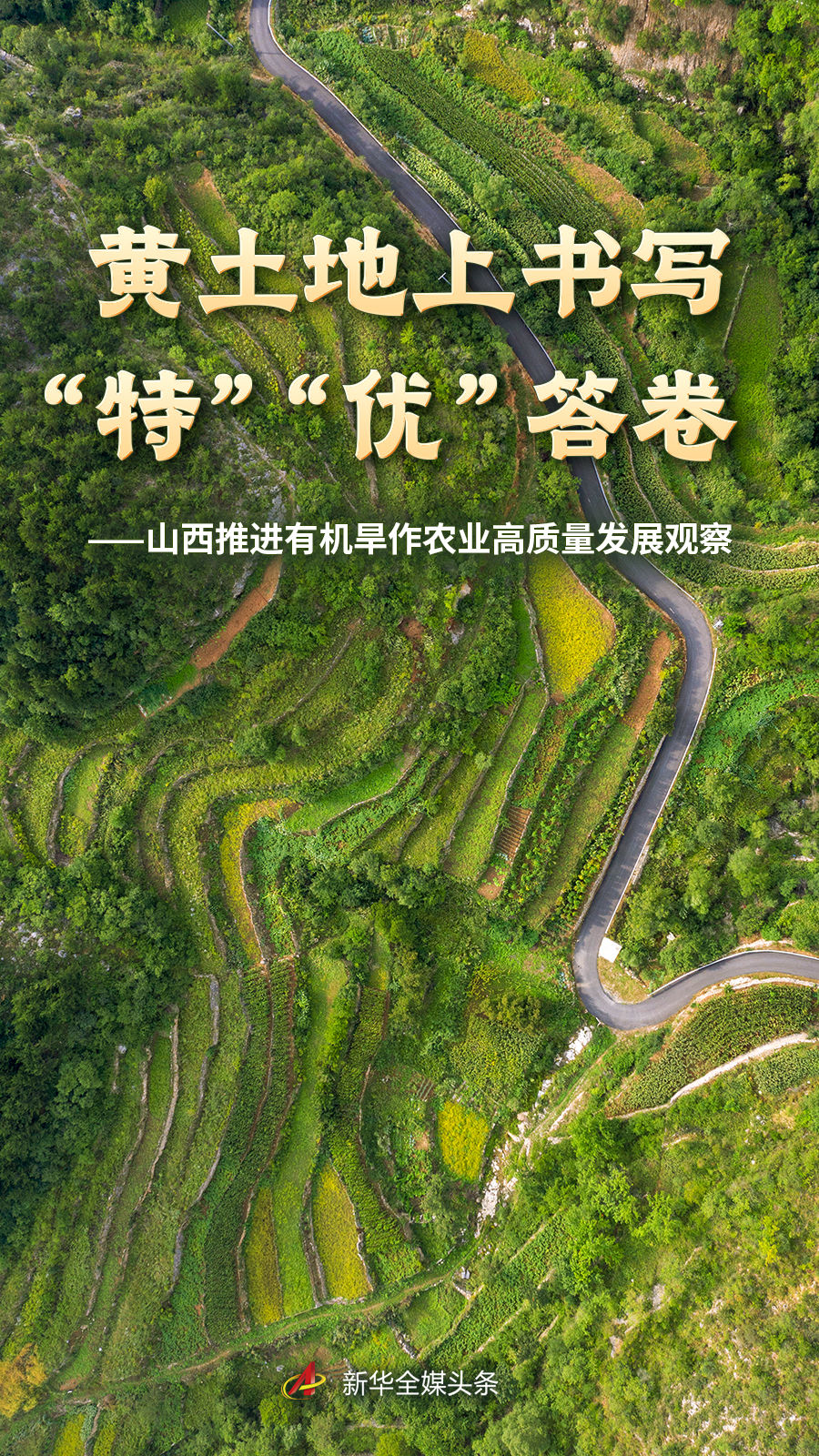 足彩网